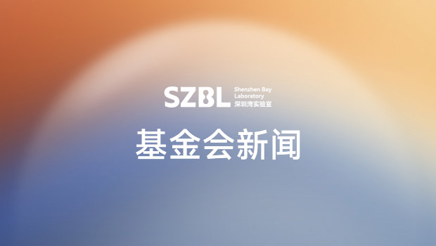 人才教育发展基金