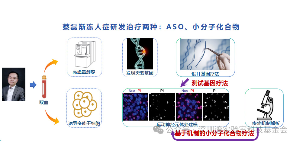 科研+公益的探索：“微光同行”罕见病项目2025年度报告